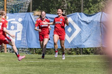 Bild 213 - wBJ Hamburger SV - Hertha BSC : Ergebnis: 5:2